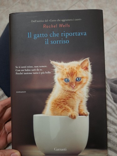 Gatto che riportava il - gatto,