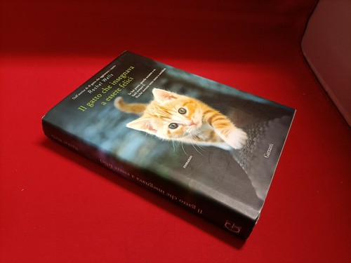 Rachel wells gatto - wells, che